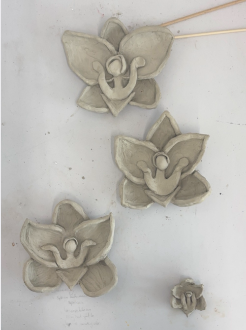 lay orchid forms arranged on a white surface as part of Project Orchid.
