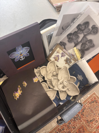 Project Orchid research materials featuring clay orchid forms, botanical imagery and process documentation.