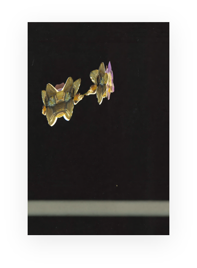 Abstract scanned orchid fragment against a dark background.