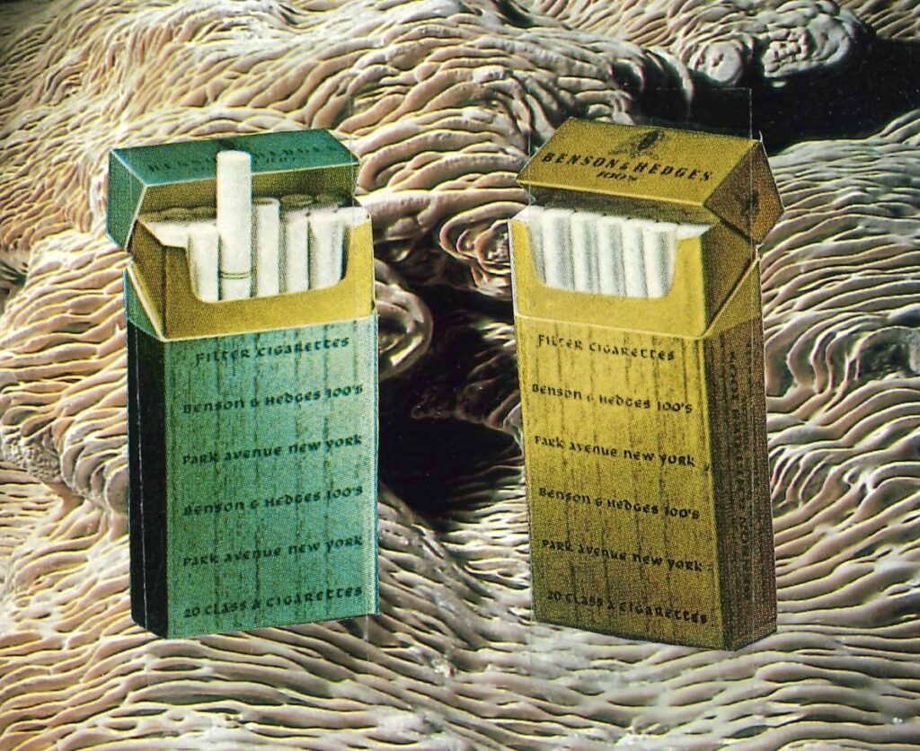 two packets of cigarettes, left is green and right yellow, on a background of coral