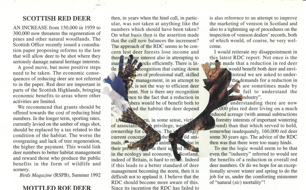a magazine page describing the habits of scottish red deer, with a pair of antlers cut out of the middle.