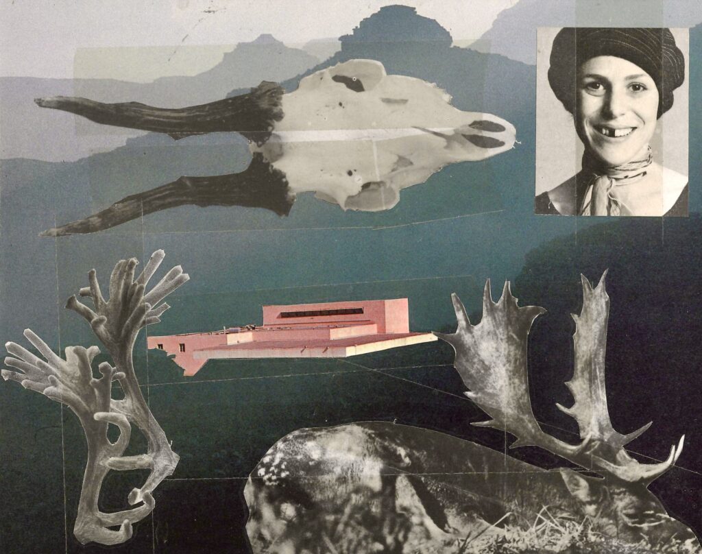 Five cut outs are stuck on a blue-grey landscape background. Top left: a horizontal skull in black and white. Top right: a portrait of a woman missing a front tooth in black and white. Middle: a pink architectural structure. Bottom left: deer antlers in black and white. Bottom right: a sleeping deer in black and white.