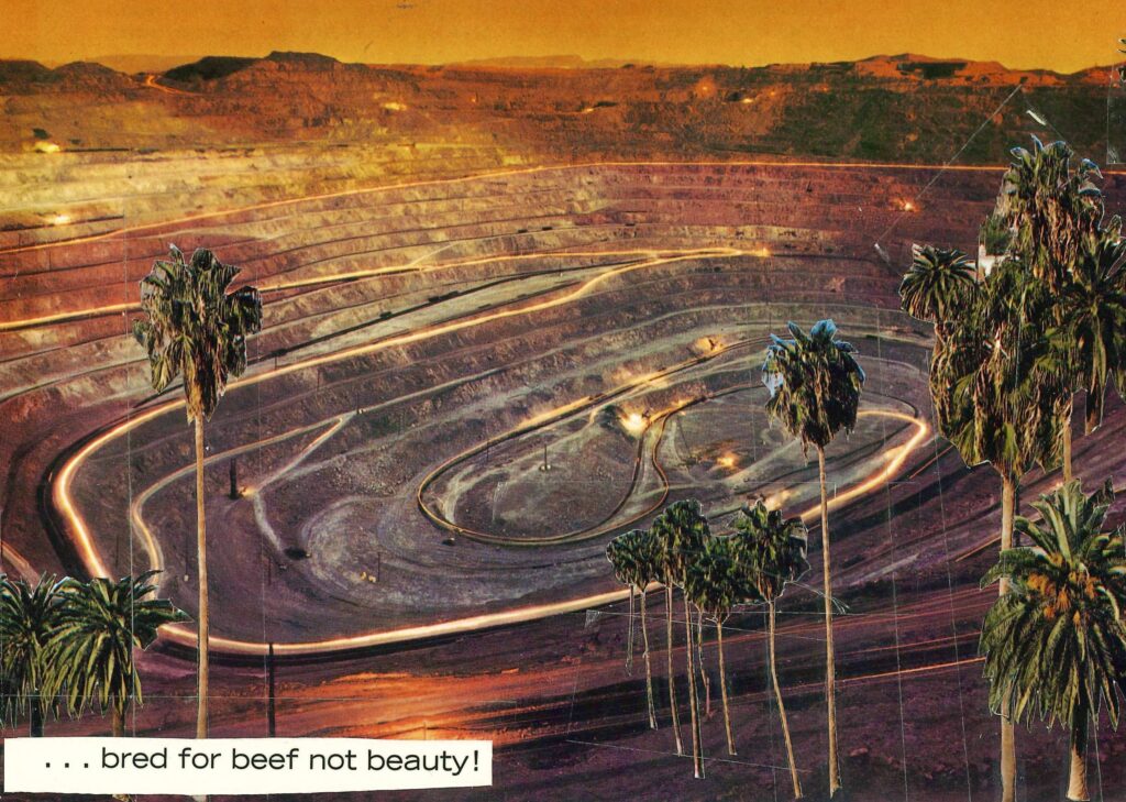 Orange and yellow Arizona dirt path on a mountain is lit up by exposed headlights. There are trees stuck to the image that were not there originally. Captioned with the phrase: “Bred for beef, not beauty!”