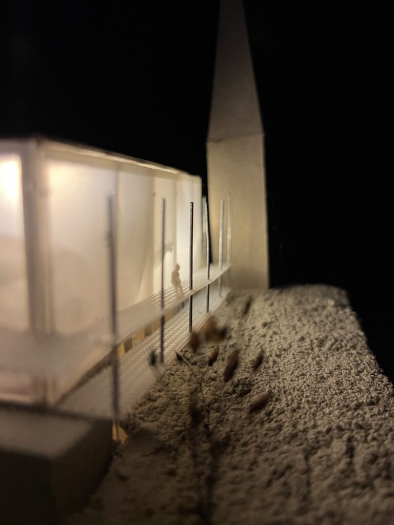 Model at night
