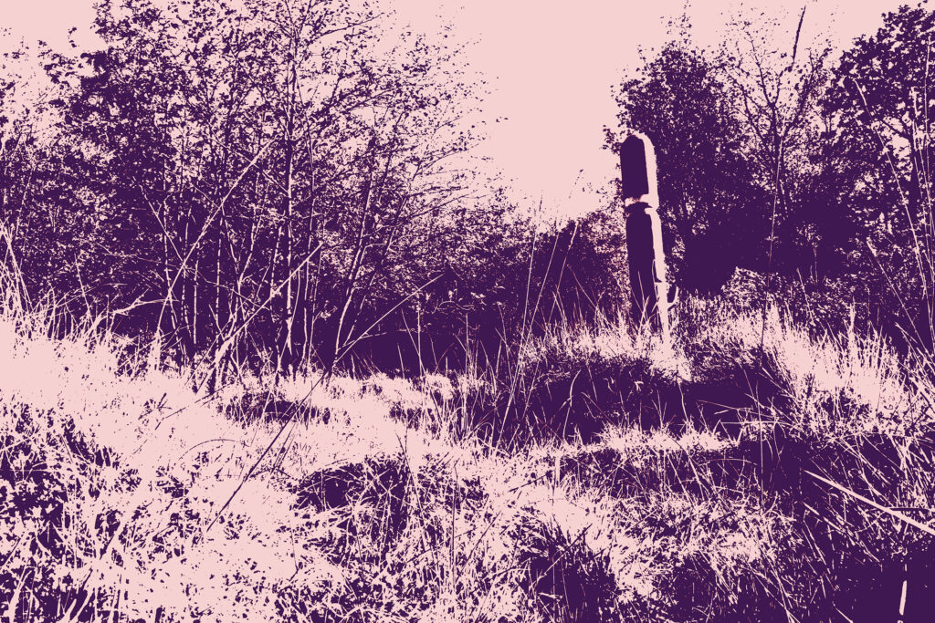 Decorative Image