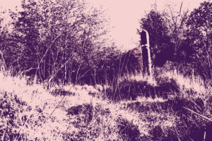 Decorative Image