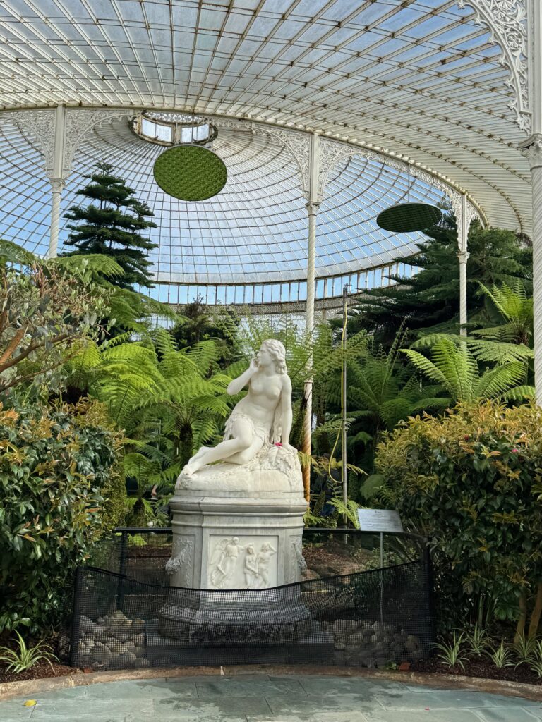 interior of BG