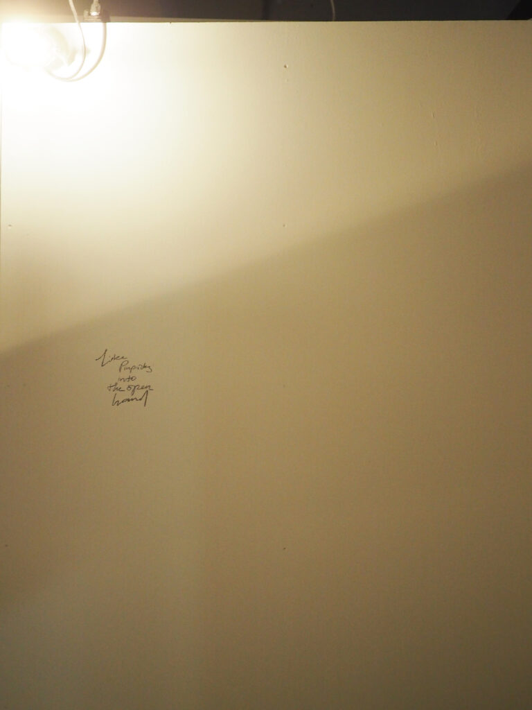 darkened wall with writing on it with a light at the top of it pointing towardfs the camera