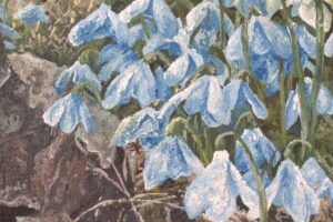 close-up of the bluedrops