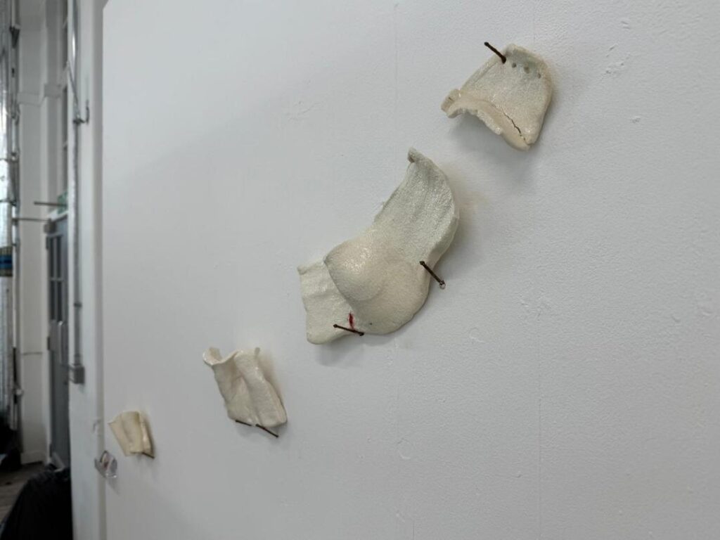 porcelain /lrust nails