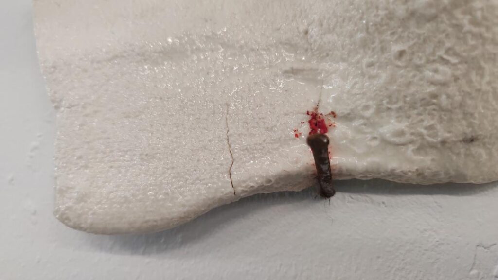 porcelain /rust nail