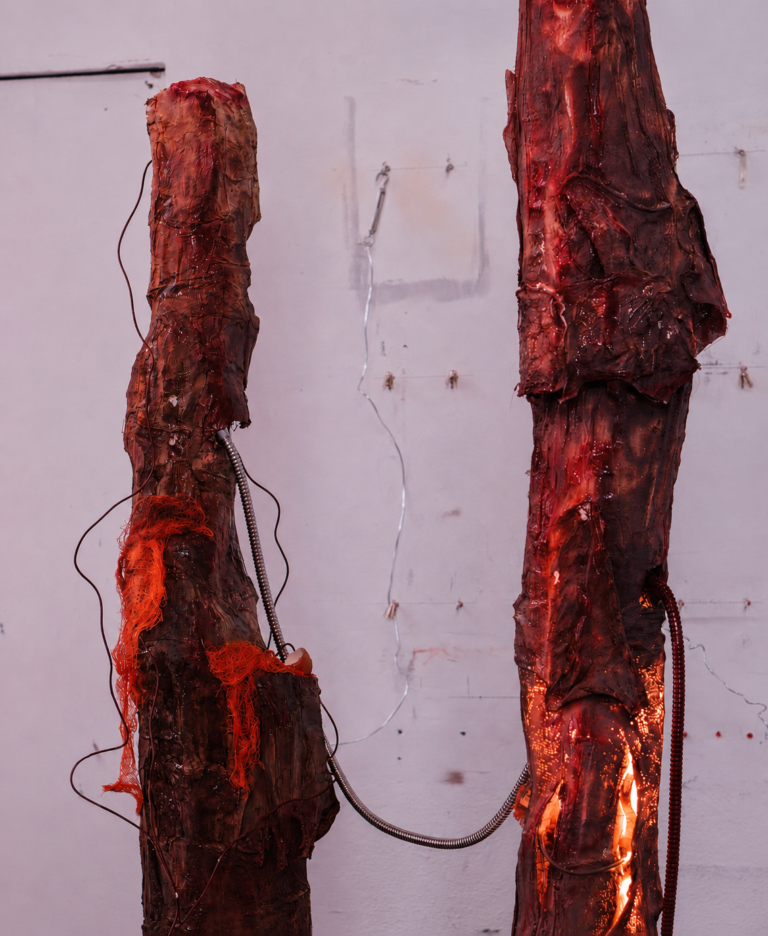 Two tall organic pillar-like forms connected by a suspended hose, illuminated with dim red light in a studio installation setting.